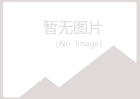 公主岭夜山能源有限公司